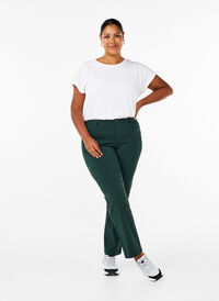 Classic viscose blend trousers, Scarab, Model